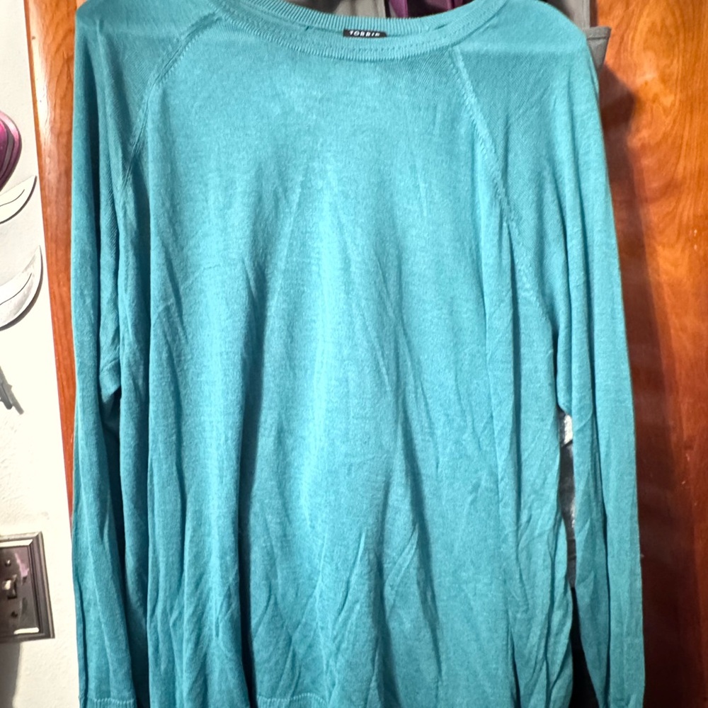 Torrid Teal Long Sleeve Top
